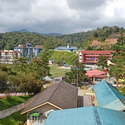 Gunung Brinchang - Cameron Highlands