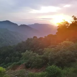 Gunung Brinchang - Cameron Highlands