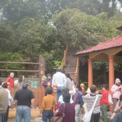 Gunung Brinchang - Cameron Highlands