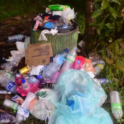 Gunung Brinchang - Cameron Highlands
