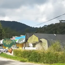 Time Tunnel Museum - Cameron Highlands