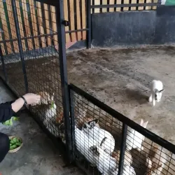 Time Tunnel Museum - Cameron Highlands