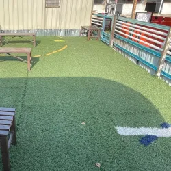 Cyberjaya Equestrian Club - Cyberjaya