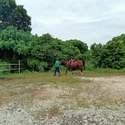 Cyberjaya Equestrian Club - Cyberjaya