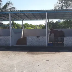 Cyberjaya Equestrian Club - Cyberjaya