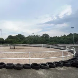 Cyberjaya Equestrian Club - Cyberjaya
