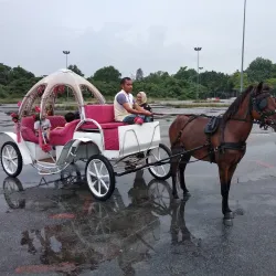 Cyberjaya Equestrian Club - Cyberjaya