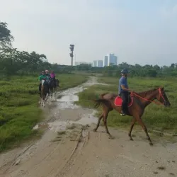 Cyberjaya Equestrian Club - Cyberjaya