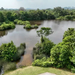 Cyberjaya Lake Gardens - Cyberjaya