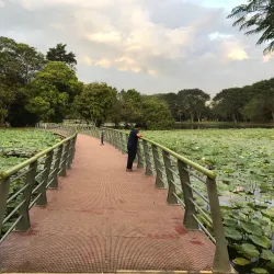 Cyberjaya Lake Gardens - Cyberjaya