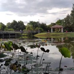 Cyberjaya Lake Gardens - Cyberjaya