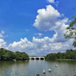Cyberjaya Wetlands Park - Cyberjaya