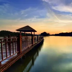 Cyberjaya Wetlands Park - Cyberjaya