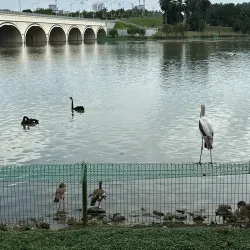 Cyberjaya Wetlands Park - Cyberjaya