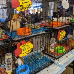 DPULZE Shopping Centre - Cyberjaya