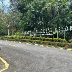 Belum-Temengor Rainforest - Gerik