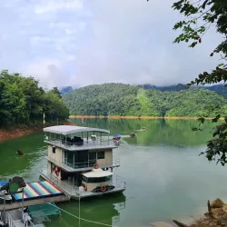 Belum-Temengor Rainforest - Gerik