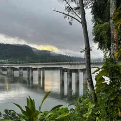 Belum-Temengor Rainforest - Gerik