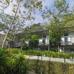 Belum-Temengor Rainforest - Gerik