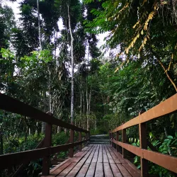 Bukit Larut (Maxwell Hill) - Gerik