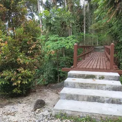 Bukit Larut (Maxwell Hill) - Gerik