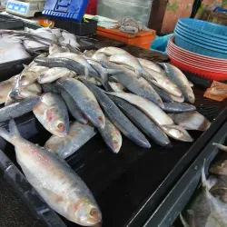 Gerik Town Market - Gerik