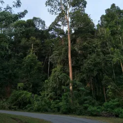 Temenggor Dam - Gerik