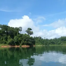 Temengor Lake - Gerik