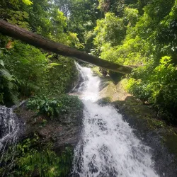 Temengor Lake - Gerik