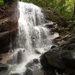 Taman Rimba Komanwel (Commonwealth Forest Park) - Gombak