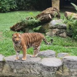 Lost World of Tambun - Ipoh