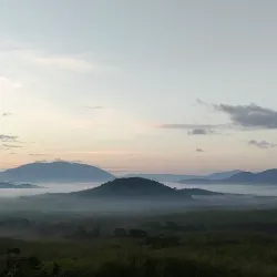 Jeniang Rice Fields - Jeniang