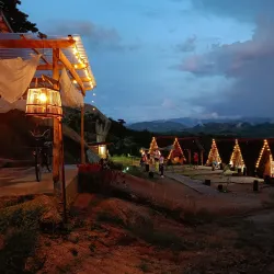 Jeniang Rice Fields - Jeniang