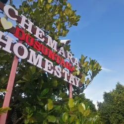 Jeniang Town Center - Jeniang