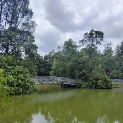 Hutan Bandar Recreational Park - Johor Bahru