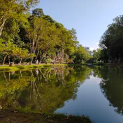 Hutan Bandar Recreational Park - Johor Bahru