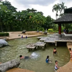 Hutan Bandar Recreational Park - Johor Bahru