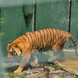 Johor Zoo - Johor Bahru