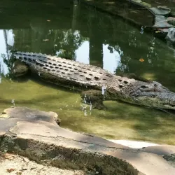 Johor Zoo - Johor Bahru