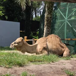 Johor Zoo - Johor Bahru