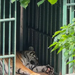 Johor Zoo - Johor Bahru