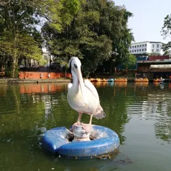 Johor Zoo - Johor Bahru
