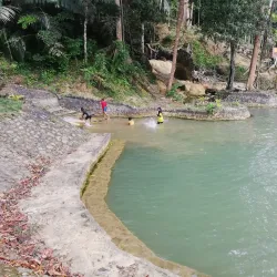 Bukit Ayer Recreational Forest - Kangar