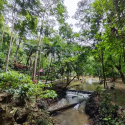 Gua Kelam Recreational Park - Kangar