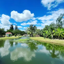 Kangar Lake Gardens (Taman Tasik Kangar) - Kangar