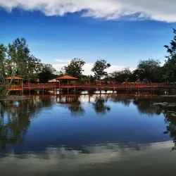 Kangar Lake Gardens (Taman Tasik Kangar) - Kangar