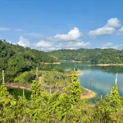 Batang Ai National Park (near Kapit) - Kapit