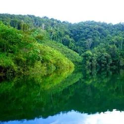 Batang Ai National Park (near Kapit) - Kapit