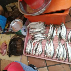 Kapit Wet Market - Kapit