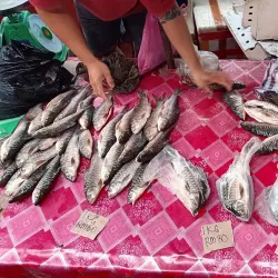 Kapit Wet Market - Kapit